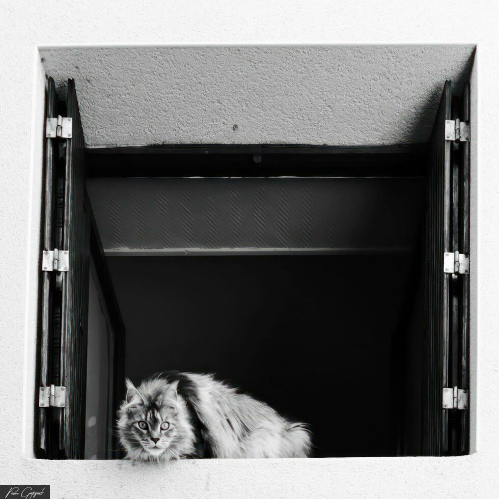 visuels logos Sites Web Carte visite communication Flyers Institutionnel Agence Web