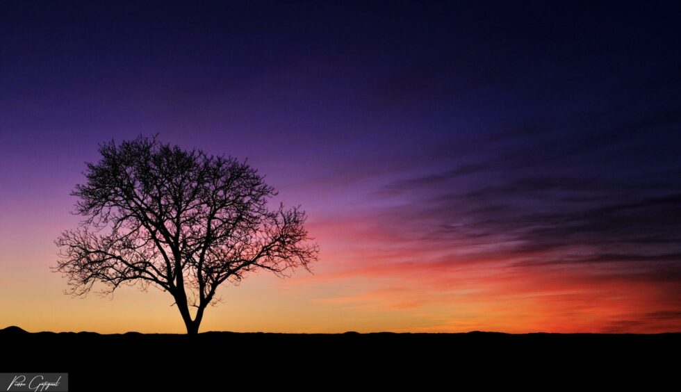 visuels logos Sites Web Carte visite communication Flyers Institutionnel Agence Web